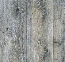 Линолеум Juteks Glory KANSAS 2_916M фото 1 | FLOORDEALER